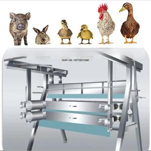 할랄 치킨 도축장 기계 소형 가금류 도축 장비 자동 엔진 제조 치킨 하우스 플랜트