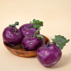 [더조은] 제주직송 아삭달콤 콜라비 (중대과) 10kg