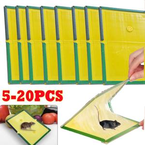 1-20개입 쥐잡이 접착판, 쥐덫, 무독성 해충 방제, 식당 주방용