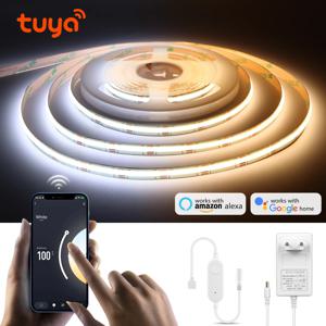 Tuya 스마트 WiFi 스위치 COB CCT LED 스트립 빛 3M 5M 24V 전원 어댑터 EU/US 플러그 디 밍이 가능한 램프 LED 테이프 룸 주방 장식