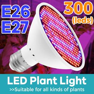 식물 성장등 220V LED 성장 전구 E27/E26 풀 스펙트럼 GU10 수경재배 B22 씨앗 발아등 MR16 다육식물 E14 성장등
