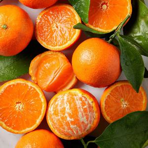 봄에 만나는 제주 카라향 가정용 2.5kg 중과 / 4월6일 순차출고(예약주문)