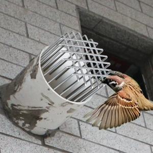 내구성 라운드 지붕 바닥 배수구 스테인레스 스틸 발코니 배수 커버 차단 방지 대형 변위 옥상 빗물 파이프 캡