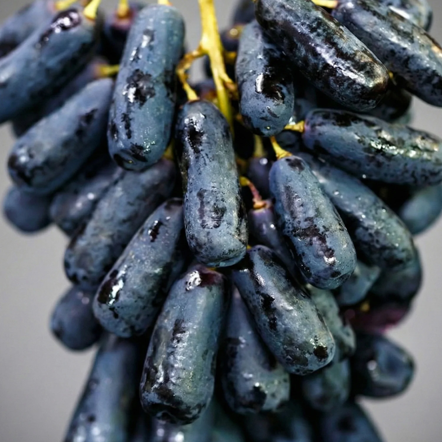 특품 블랙사파이어 고당도 가지 포도 직수입