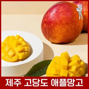 프리미엄 제주 애플망고 1.2kg 2kg 3kg 선물용 미니망고