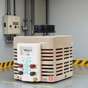구리 전압 조정기 TDGC2-0.5KVA 1KVA 2KVA 산업용 전압 조정기 출력 0-250V/0-300V AC 전압 조정기