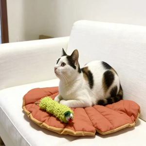 리프 코지 이중용도 매트 고양이 침대 소파 보호대와 캣닢 애벌레 셀프 플레이 고양이 장난감 세트