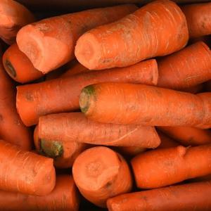 국내산 못난이 세척당근 주스용 5kg