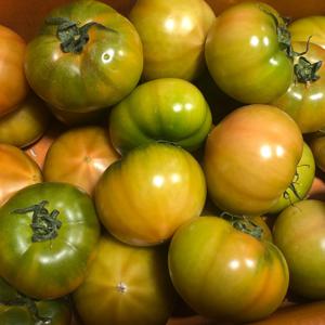 착즙주스용 샐러드용 대저토마토 못난이 가정용 2.5kg