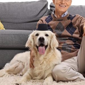 5Pcs 인형 집 장식용 미니어처 펠트 모자 작은 모자 소품 공예용 작은 모자 DIY 홈 장식 사진 소품 절묘한 모자