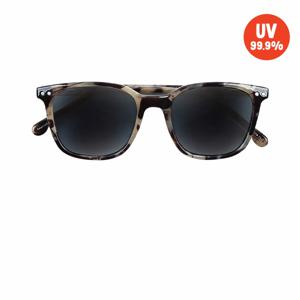 [키즈]레오파드스퀘어선글라스_BP51AA301