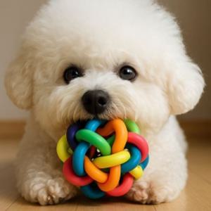 강아지장난감 멍멍토이강아지방울볼장난감소리나는강아지공