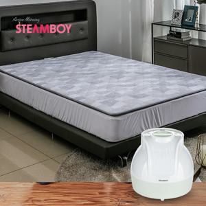 스팀보이 온수매트 S6500-S1812 퀸 온수패드 온열매트