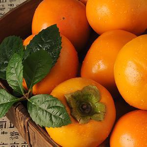 아삭한 국내산 단감 10kg(71-80과)