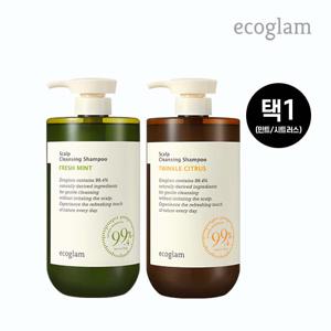 스칼프 샴푸 1000ml (택1)