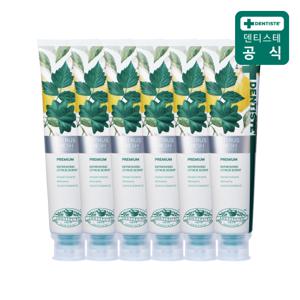 [내일도착]시트러스후레쉬 치약(불소함유) 200g 6개