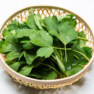 국내산 방풍나물 제철 봄나물 500g 1kg