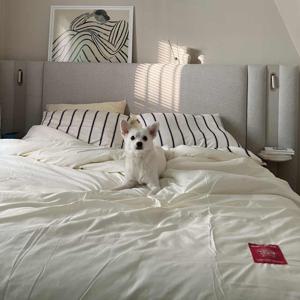 알러지케어 스트라이프 솔리드 리버시블 차렵이불 브라운(SS/QK)