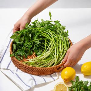 [더조은] 국내산 싱싱한 미나리 1kg