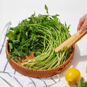 [더조은] 국내산 싱싱한 미나리 4kg