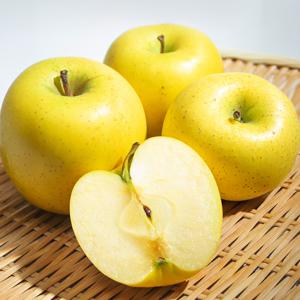 고당도 황금사과 시나노골드사과 2kg 4kg