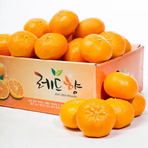 [산지직송] 제주 돌담 레드향 가정용 1kg / 2.5kg / 4.5kg