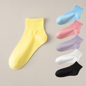 [브리치] HOTBBA / 캔디 골지 발목 단목 양말 6color LM 0645