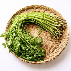 무농약 청도 한재 미나리 1kg/2kg/4kg 지하 암반수 재배