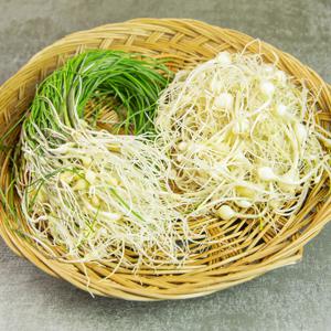 봄 제철채소~ 향긋한 노지 세척 달래 300g