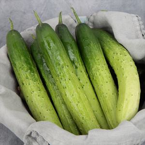 수분가득 다다기 오이 2kg 外 크기별 선택