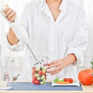 핸드 블렌더 믹서기 JA-1080