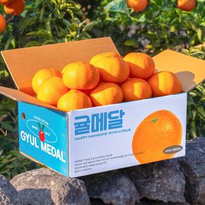 귤메달 제주 천혜향 2kg 3kg 5kg