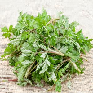 국내산 햇 노지 생 쑥 500g 1kg