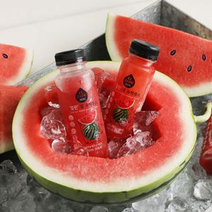 엘제이드 코스트코 얼린 생 수박주스 180ml 6개입