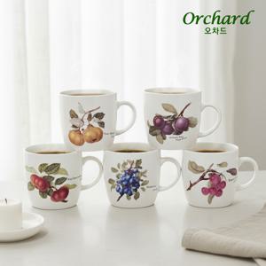 오차드 머그 5p세트 (머그잔/물컵)