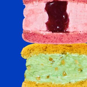 널담 뚱카롱 봄마카롱 벚꽃에디션 4구+4구 (체리블라썸/피스타치오)