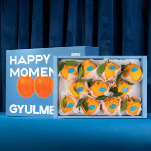 귤메달 한라봉 선물세트