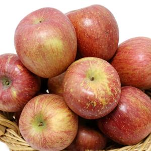 새콤달콤 맛있는 부사 사과 5kg가정용