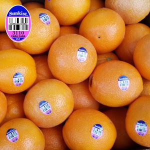 썬키스트 카라카라 오렌지 중과 17kg (72-88입)