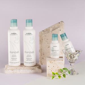 [소비기한 26/08/01] 공식수입_샴퓨어 샴푸 250mlX2 (+컨디셔너100ml정품)