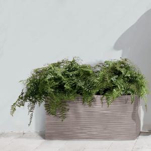 마이플랜트 니콜리 엘레강스 카세톤 이태리 가벼운 플라스틱 인테리어 대형 화분