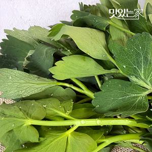 [더조은] 여수 금오도 신선한 방풍나물 3kg