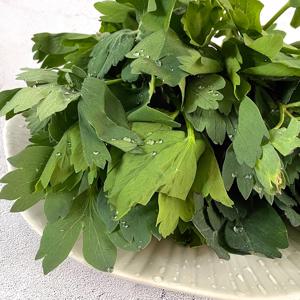 [더조은] 여수 금오도 신선한 방풍나물 4kg