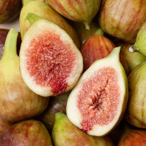 지금이 제철 달콤한 무화과 500g 1팩 2팩 4팩
