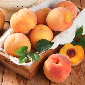 달콤함 가득 황도복숭아 2kg 4kg