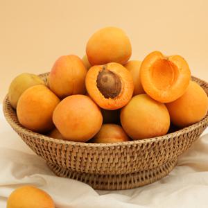 향긋한 제철 살구 1kg 2kg