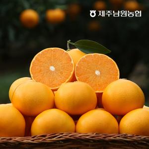 곱들락 제주 천혜향 4kg(총 16~31과)