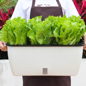 비기스트 저면관수 대형 플라스틱 자동 화분