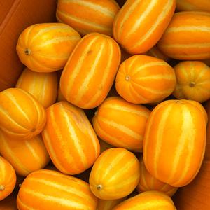 [자연의정] 제철과일 고당도 성주 꿀 참외 가정용 혼합과