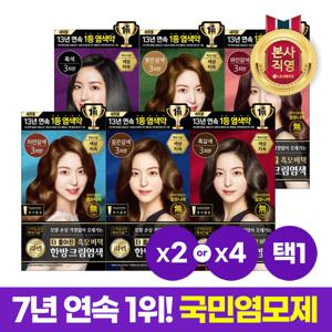 리엔 흑모비책 크림 염색약 120g 2개 or 4개 [6종 택1]